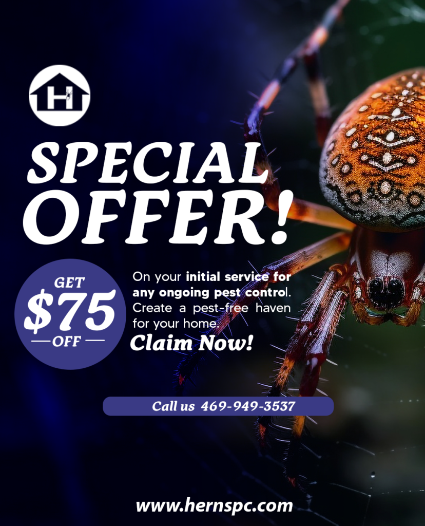 A spider on a web with the text special offer.