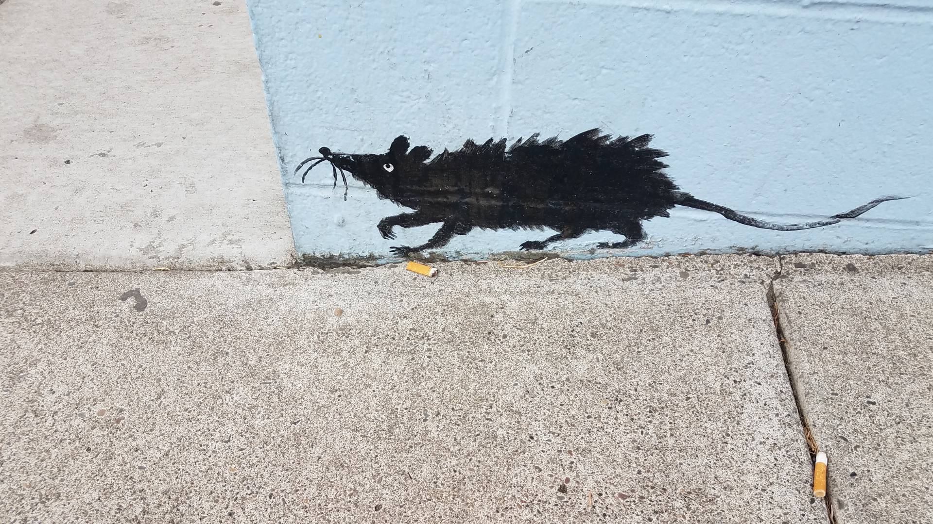 a rat painted on a wall to do a reference for: how to build a rat wall