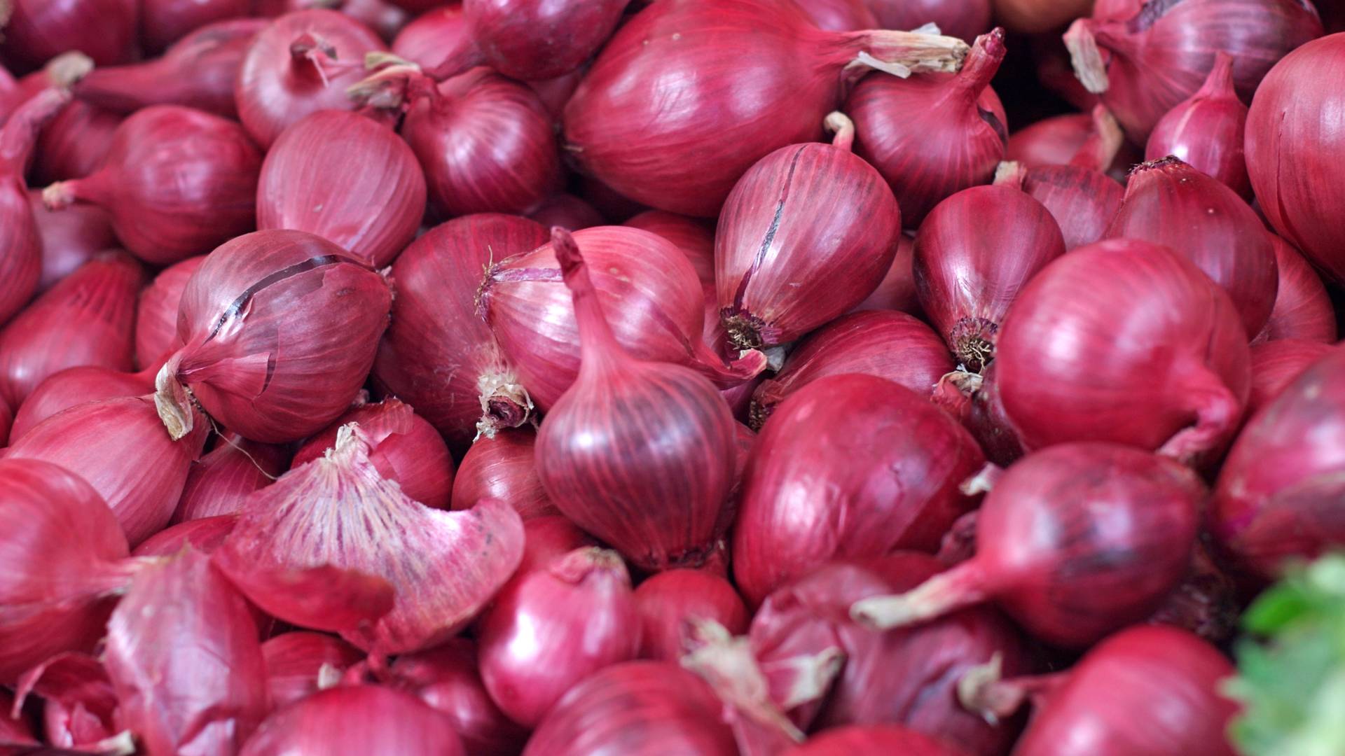 Do Onions Kill Mice? Myth or Effective Remedy?