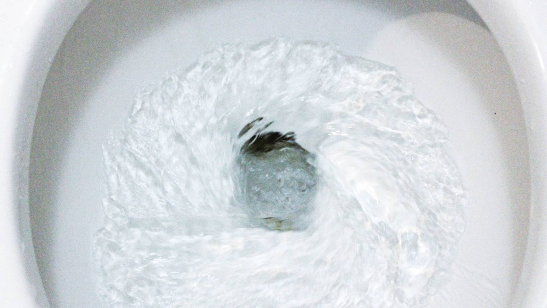 flushing toilet after dropping a stink bug