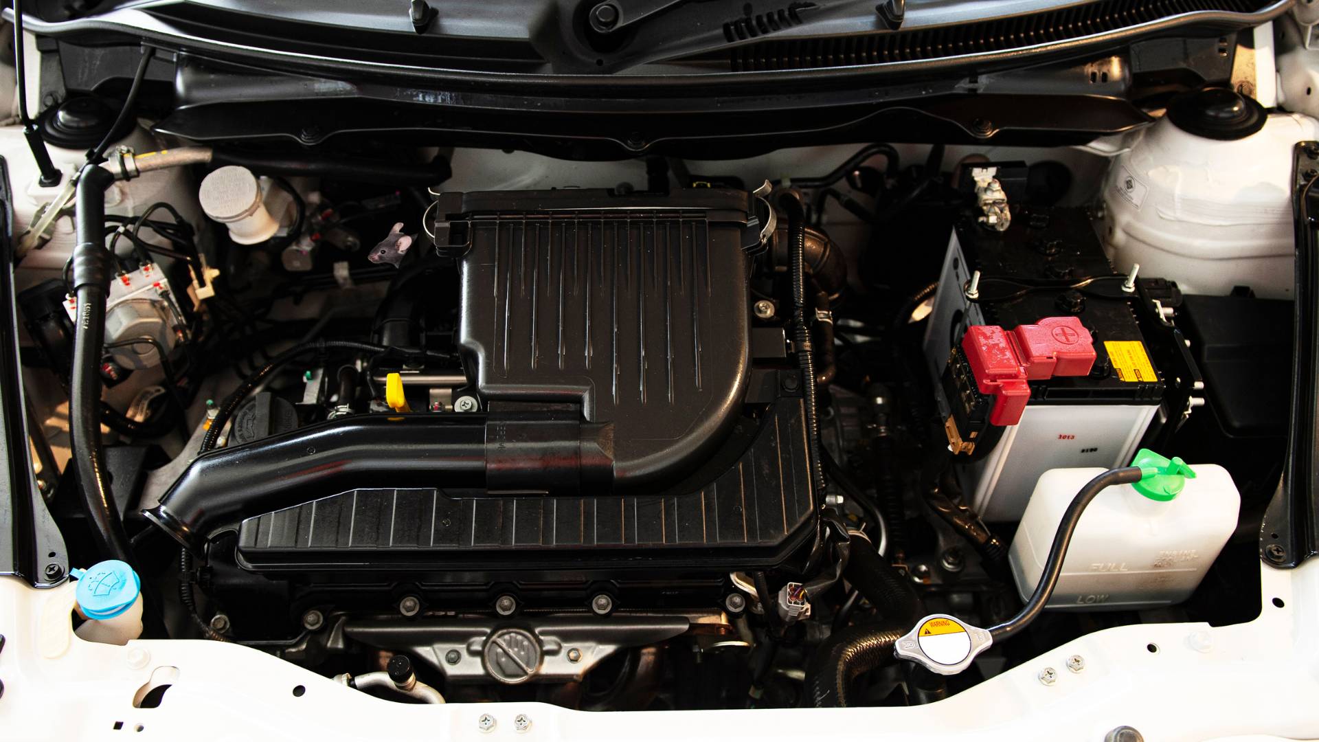 How to Get Rid of Rat in Your Car Engine: Effective Strategies