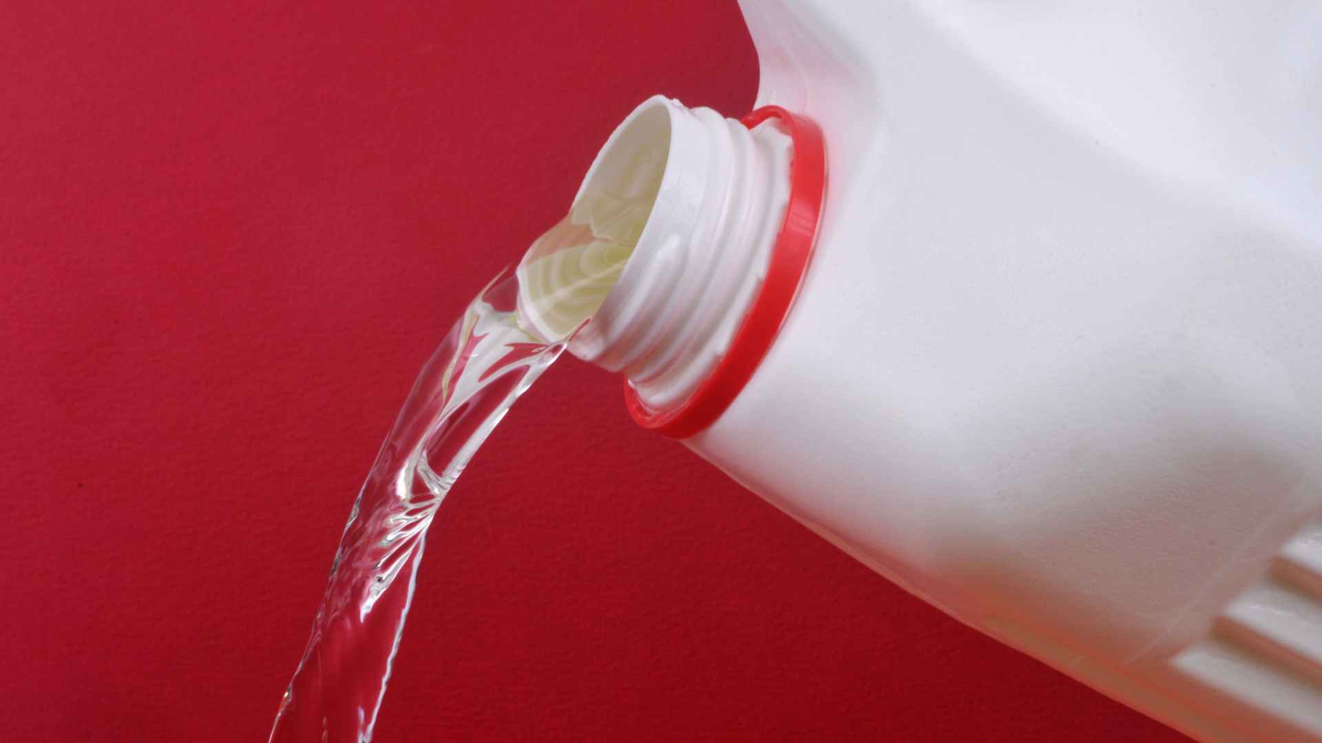 Bottle with bleach on a red background to answer the question if it can get rid of ants