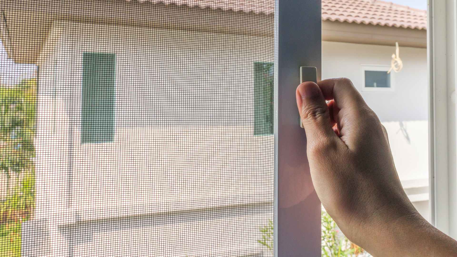 Mosquito protector on a door to implement techniques from how to get rid of mosquitoes on porch