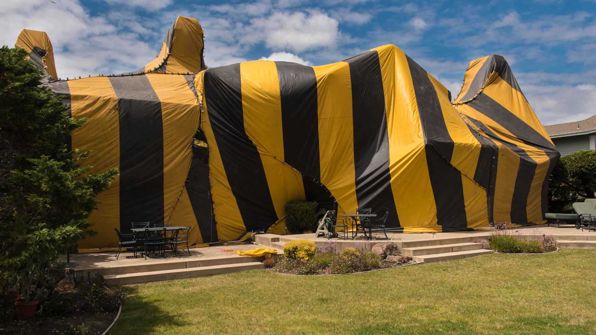 House is covered by tent for heat treatment on whole house for bed bugs